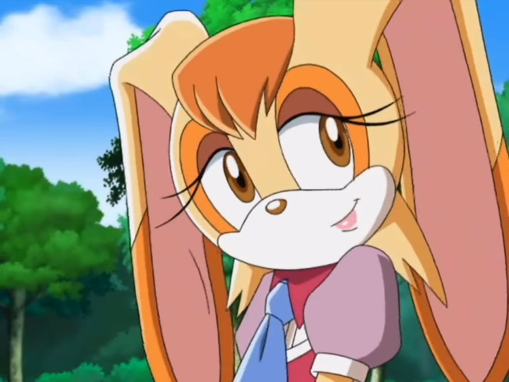 HeartsBunny: Sonic X Episode 1