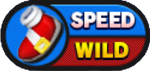 Sonic Runners Speed Wild