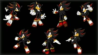 Shadow 2D Poses