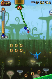 SonicPlantKingdom