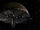 Space Colony ARK