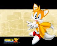 Sonic Adventure DX: Director's Cut