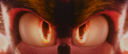 Shadow the Hedgehog (Paramount), Sonic Wiki Zone