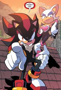 Shadow and Rouge IDW