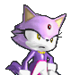 Blaze the Cat