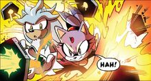 IDWBlazeAndSilver60