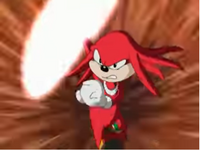 "New Echidna in Town"