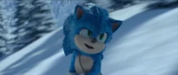 Sonic2SnowboardFightScreenshot24.png (1,000 KB)