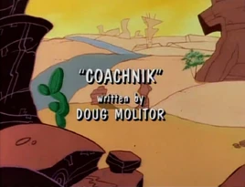 Coachnik