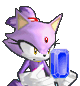 Blaze the Cat