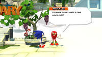 Knuckles after the player completed the challenge.