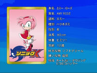 06 Amy Rose