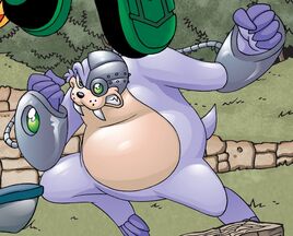 BoomerWalrus