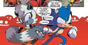 Sonic and Tangle