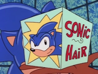 AoStH19SonicHair