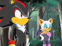 Shadow and Rouge Sonic X