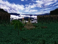 Part of the Jungle Area, Dreamcast