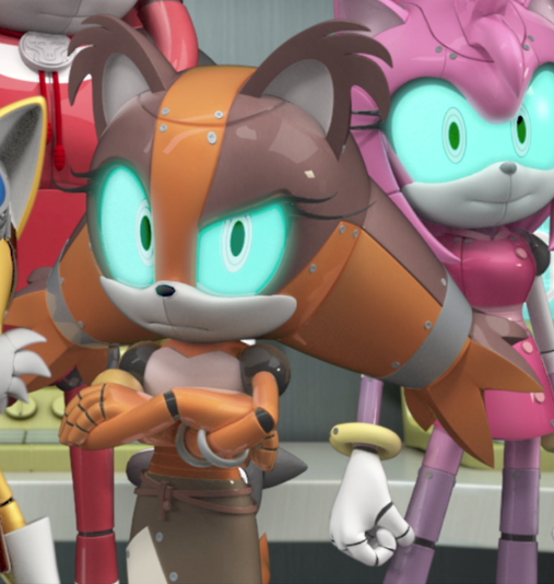 It Takes a Village to Defeat a Hedgehog, Mundo Sonic Boom Wiki