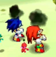 Sonic and Knuckles inflicted with Cursed.