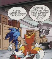 The Eggdome's storage room.