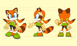 Marine the Raccoon/Gallery | Sonic News Network | Fandom