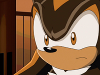 Brown ShadowTheHedgehogPokerFace