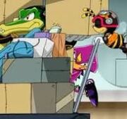 Team Chaotix Sonic C