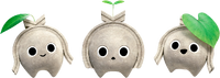 Koco
