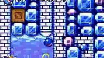 Sonic_Advance_3_-_Twinkle_Snow_Visual_Chao_Hunt_Guide