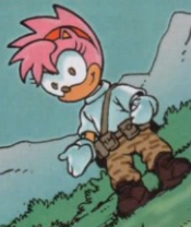 Amy Rose (Archie), Sonic Wiki Zone