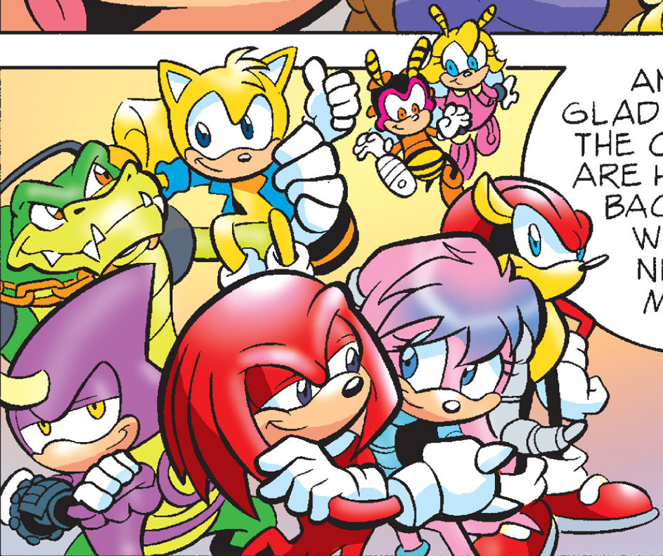 Team Fighters (Pre-Super Genesis Wave), Sonic Wiki Zone