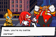 Knuckles and his partner