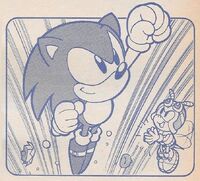 Charmysonicyonensei.jpg (346 KB) Charmy, along with Sonic in the The Adventures of SONIC the Hedgehog stories. Art by Norihiro Matsubara.