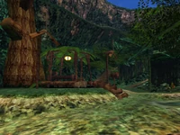 Part of the Jungle Area, GameCube