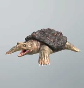 FP snappingturtle