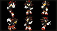 Shadow 2D Poses