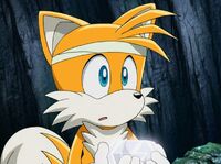 Tails105