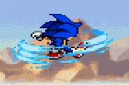 Sonic Advance 2 (Sonic)
