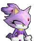 Blaze the Cat