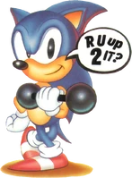 Artwork of Sonic as seen in the player's guide.