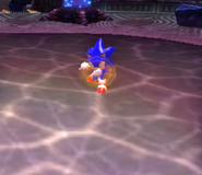 Sonic wyprowadzający cios w Shadow the Hedgehog