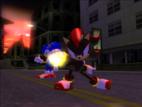 Shadow and Sonic after defeating Black Bull