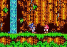 Sonic's sprite after triggering the glitch.