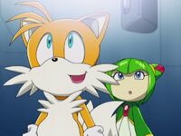Cosmic Crisis Tails and Cosmo
