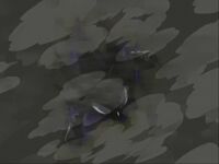 Dark Sonic flies.jpeg (86 KB) Dark Sonic flies