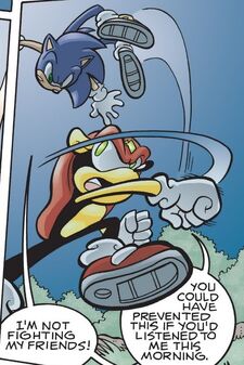 Hedgehogs Can't Swim: Sonic X, Episode 1.13: Beating Eggman, Part 2