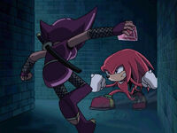 "The Adventures of Knuckles and Hawk"
