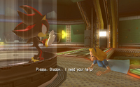 Shadow the Hedgehog