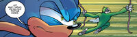 Sonic and Sloth Race