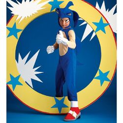 Sonic Generations Sonic The Hedgehog Costume - Medium